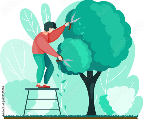 Man shears plants with scissors stands on stairs. Professional garden worker working with tree in backyard. Gardening, planting topiary plants and hedges design. Agriculture, gardening and farming