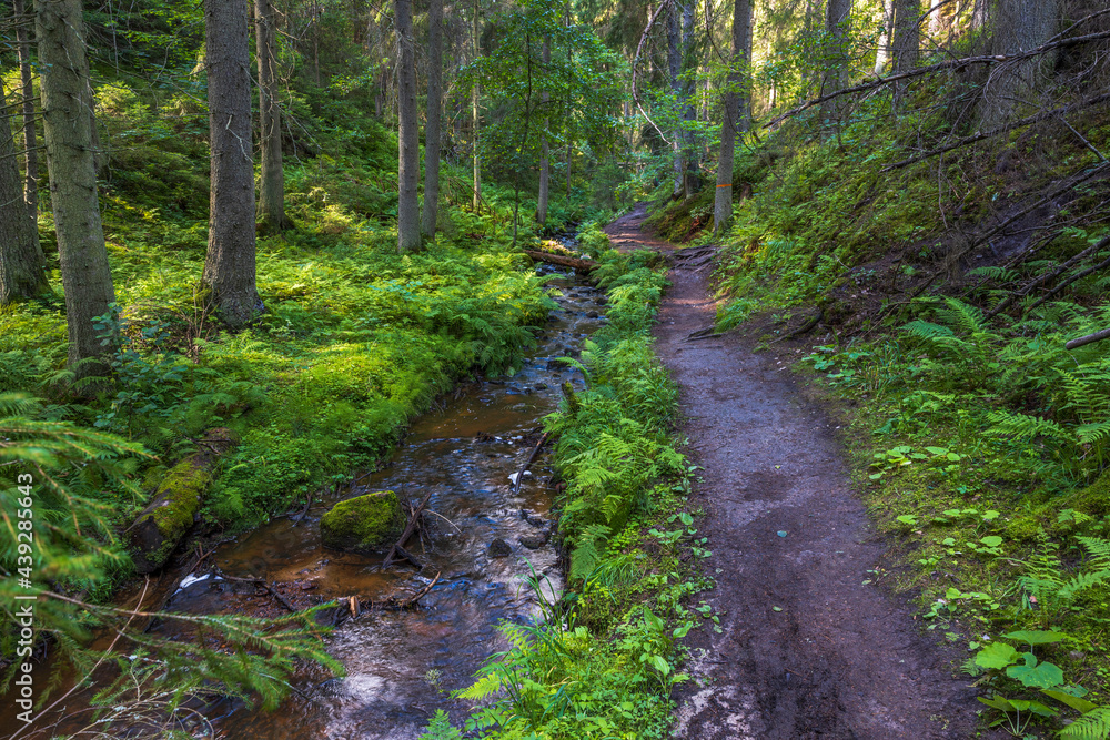 Beautiful summer nature landscape view. Small stream in green forest. Sweden. Beautiful summer nature landscape view. Small stream in green forest. Sweden.
