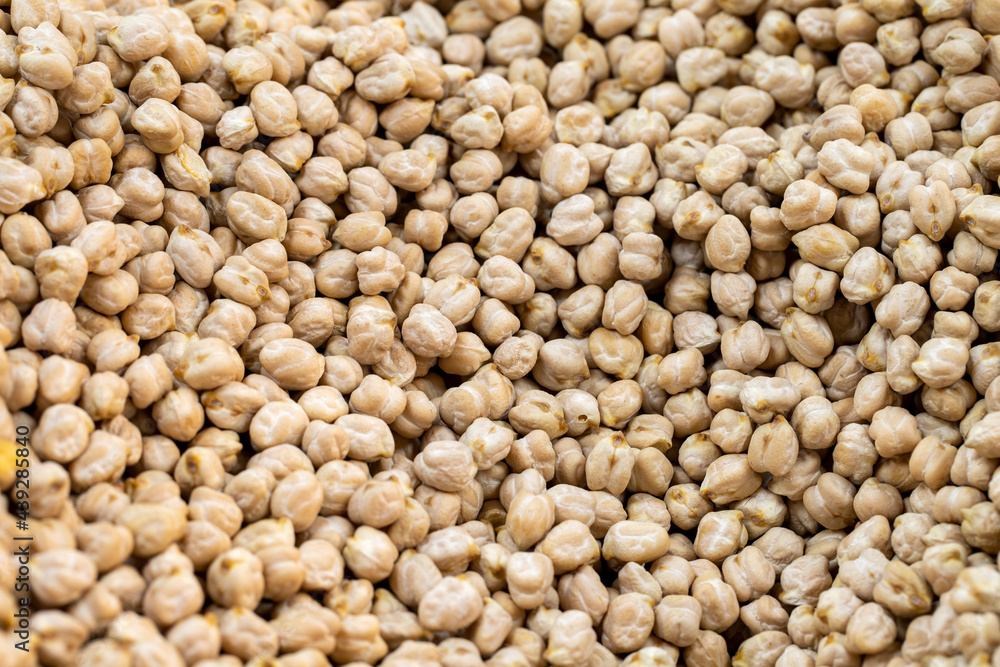 Chickpea. Grains of close-up chickpea kernels. Chickpeas as background texture Chickpea. Grains of close-up chickpea kernels. Chickpeas as background texture