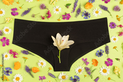 Black panties and colorful flowers on green background, close up. Concept Keep your vagina healthy and happy. Top view Flat lay photo