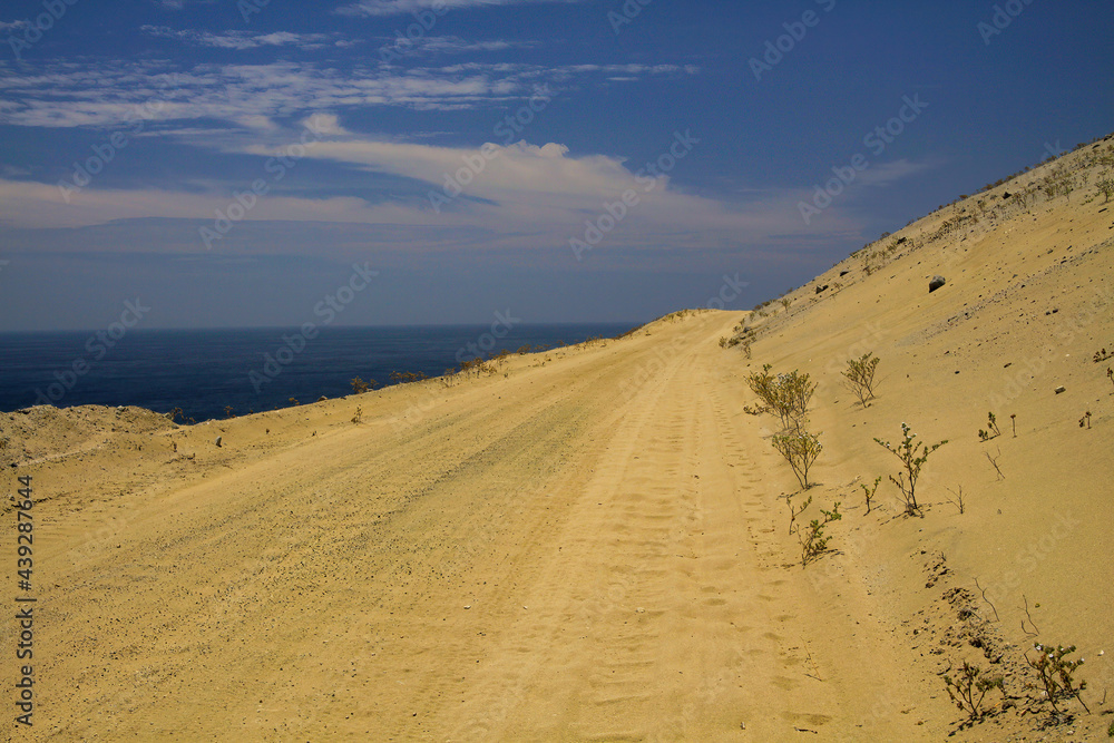 View on empty dirt sand track along pacific coast, Pan de Azucar, Chile