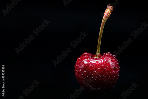 cherry on black background