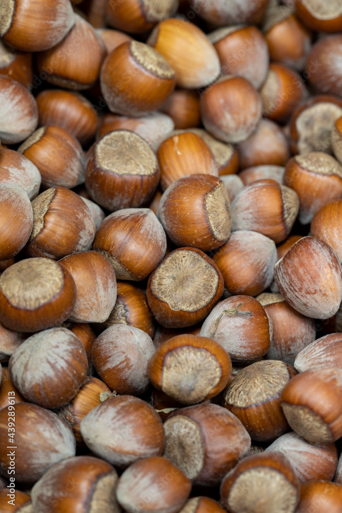Shelled hazelnuts. close up. Shelled hazelnuts as background texture Shelled hazelnuts. close up. Shelled hazelnuts as background texture