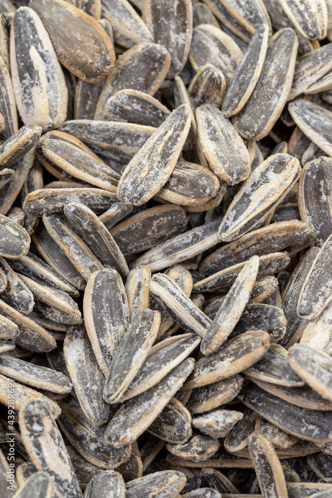 Salted sunflower seeds. close up. sunflower seeds as background texture