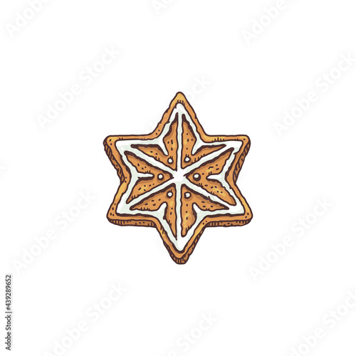 Christmas star shape cookie or gingerbread  sketch vector illustration isolated.