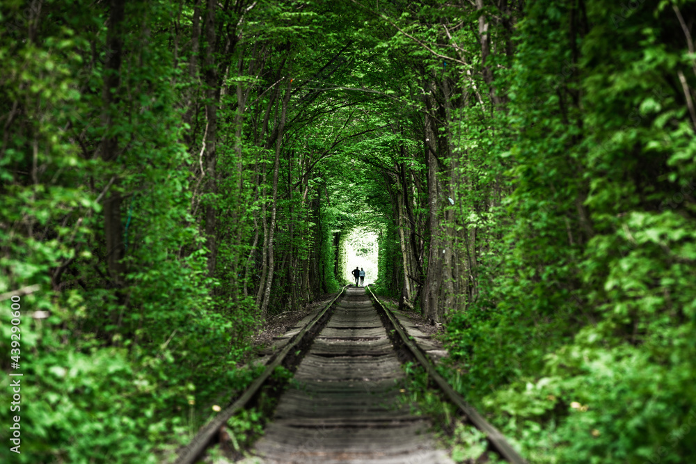 Fototapeta premium a railway in the spring forest tunnel of love