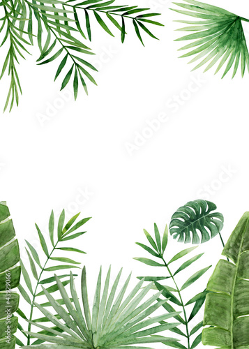 Tropical leaves card template. Green palm jungle florals. Watercolor free-hand illustration for card  wedding invitation  banner  event flyer  poster  presentation  menu  lifestyle
