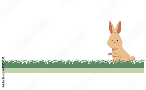うさぎと草地のイラスト素材