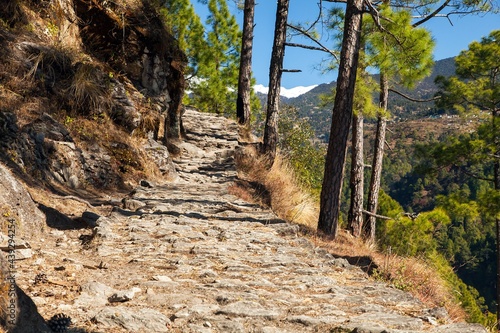 path pathway way Indian Himalaya mountain trekking trail