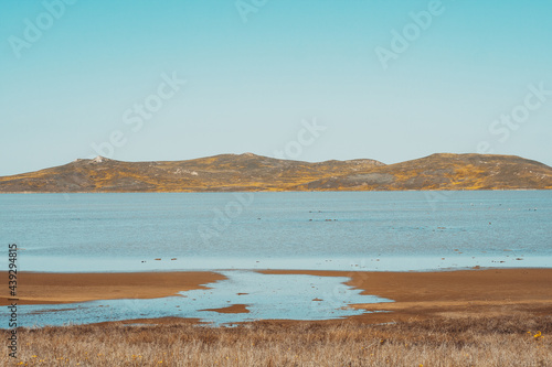 Salt lake on cape Opuk © Denys