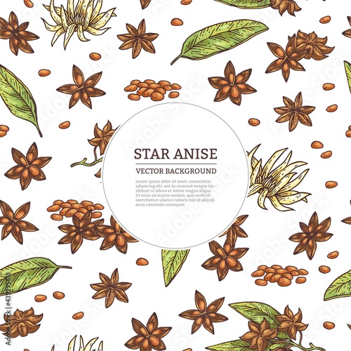 Background with anise spice and frame for text, engraved vector illustration.