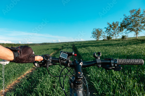 Wallpaper Mural back view of a man with a bicycle against the blue sky. cyclist rides a bicycle. Torontodigital.ca