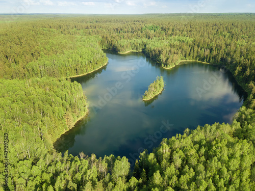 Drone view of the heart-shaped Hlubelka Lake in the forest on a sunny summer day in Narochansky National Park, Belarus.