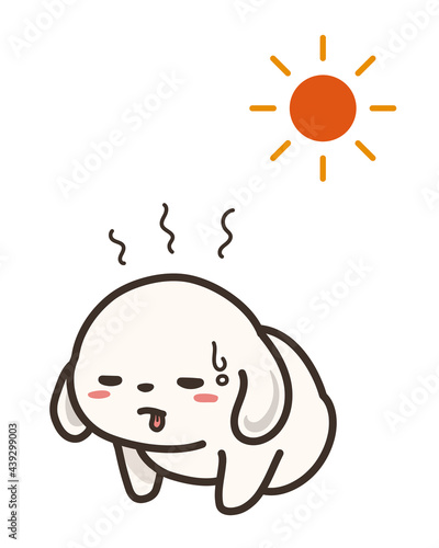 体調不良の犬と太陽　熱中症