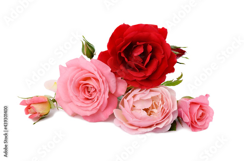 bouquet of red and pink roses isolated on white background, festive bouquet