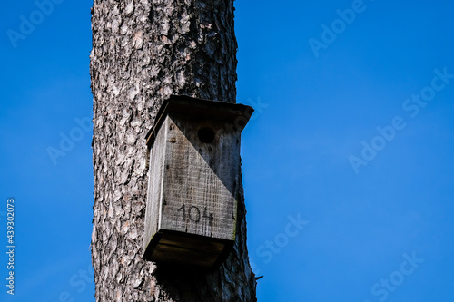 Wooden bird cage, bird house in the forest © Viesturs