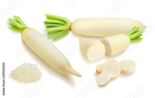 Daikon radish realistic 3d big vector illustration set. Sliced pieces of chinese radish, grated daikon, Chopped fresh vegetable, green leafs isolated on white background. Different types of cuts 