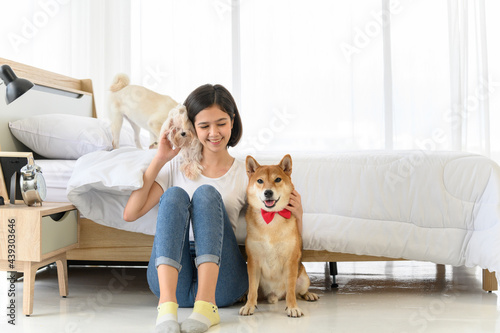 Young Asian woman relaxing and playing with three dogs (brown shiba inu, white shiba puppy and white maltese)in bedroom at home, Cheerful and nice couple with people and pet. Pet Lover concept © bigy9950