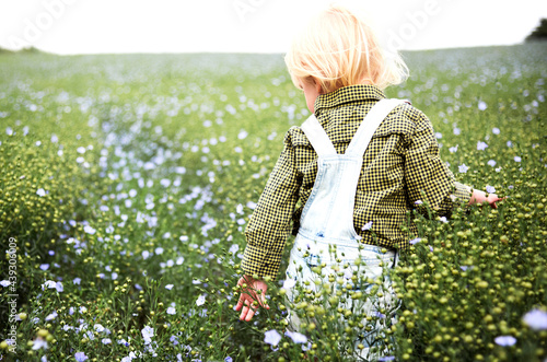 Little boy in a flower field