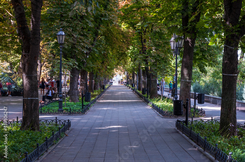 Fototapeta Naklejka Na Ścianę i Meble -  Alley in the park on a Spring day no people