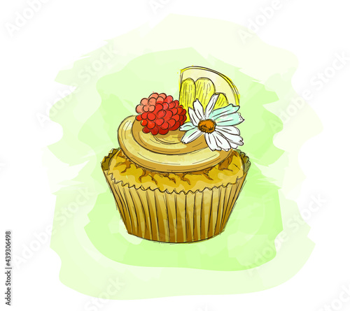 Delicious watercolor cupcake with lemon, raspberry and a daisy. Tender and soft picture can be good for a logo, company style, bakery visit card, pastry web site, culinary video, recipe or menu book.