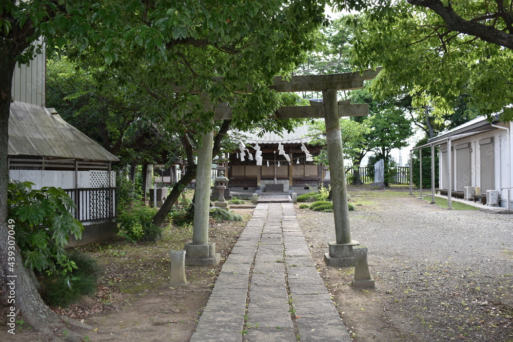 日本　埼玉　新白岡　神社　初夏の風景