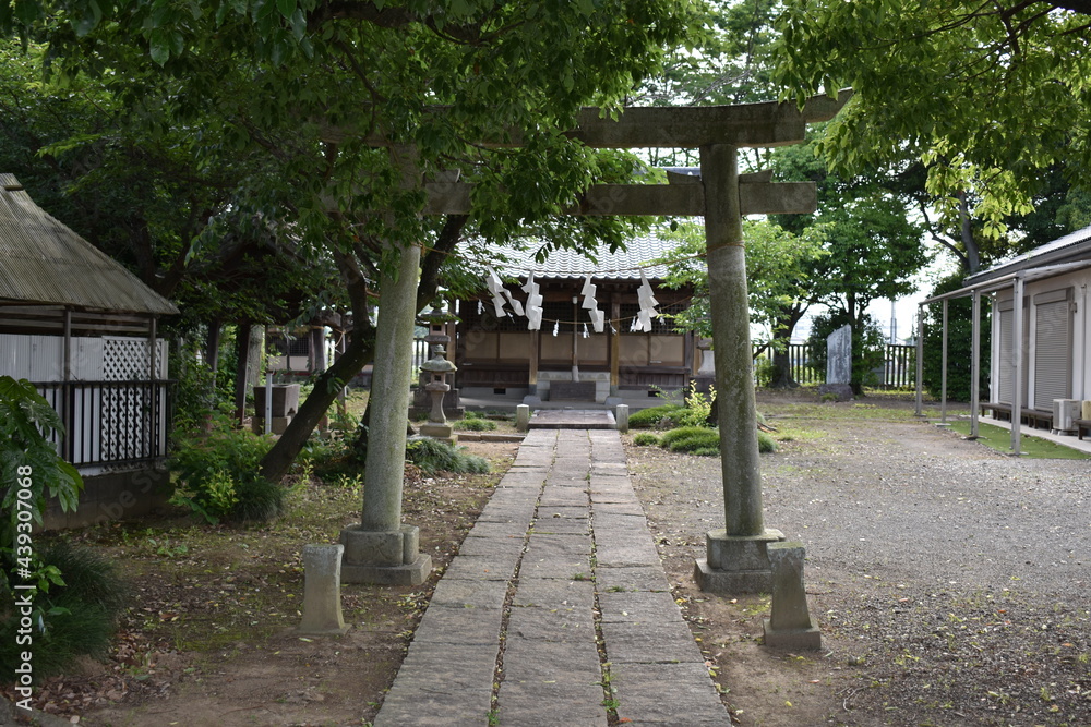 日本　埼玉　新白岡　神社　初夏の風景