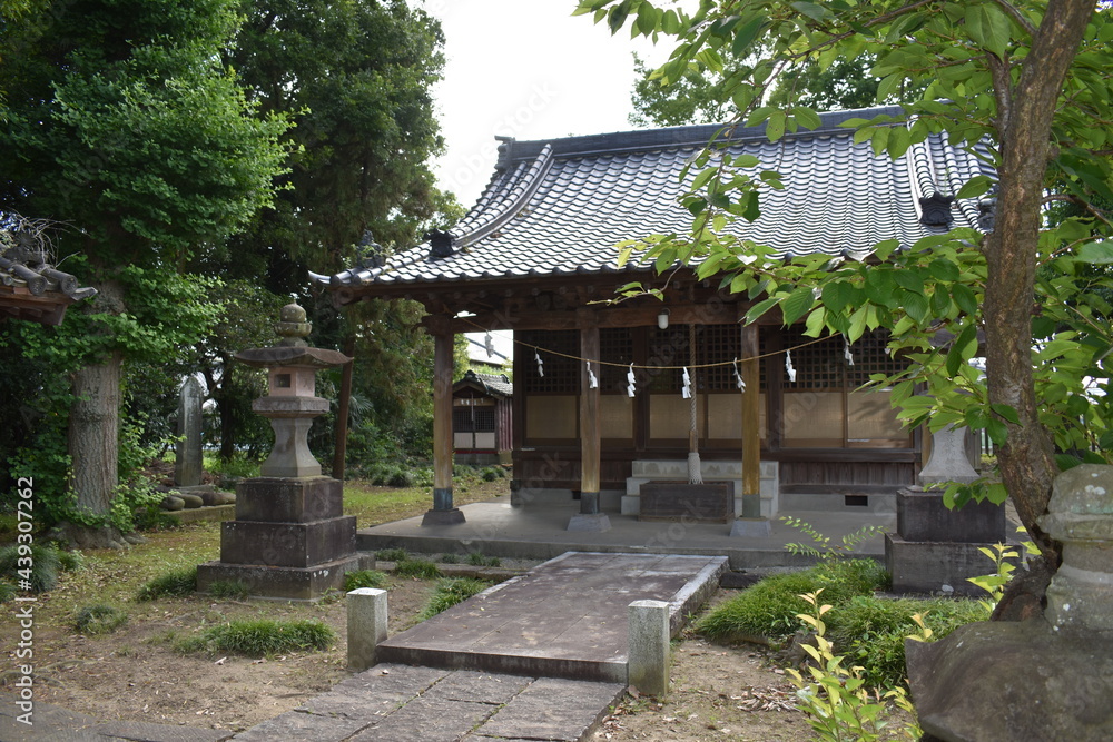 日本　埼玉　新白岡　神社　初夏の風景