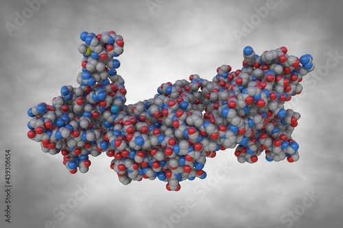 Human monoclonal antibody with SARS-CoV-2 nucleocarsid protein NTD. Scientific background. 3d illustration  photo