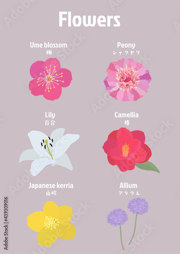 Flowers4