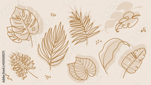 Vector set of tropical hand drawn plants elements for social media and web / logo design.
