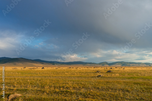 sunset over the field