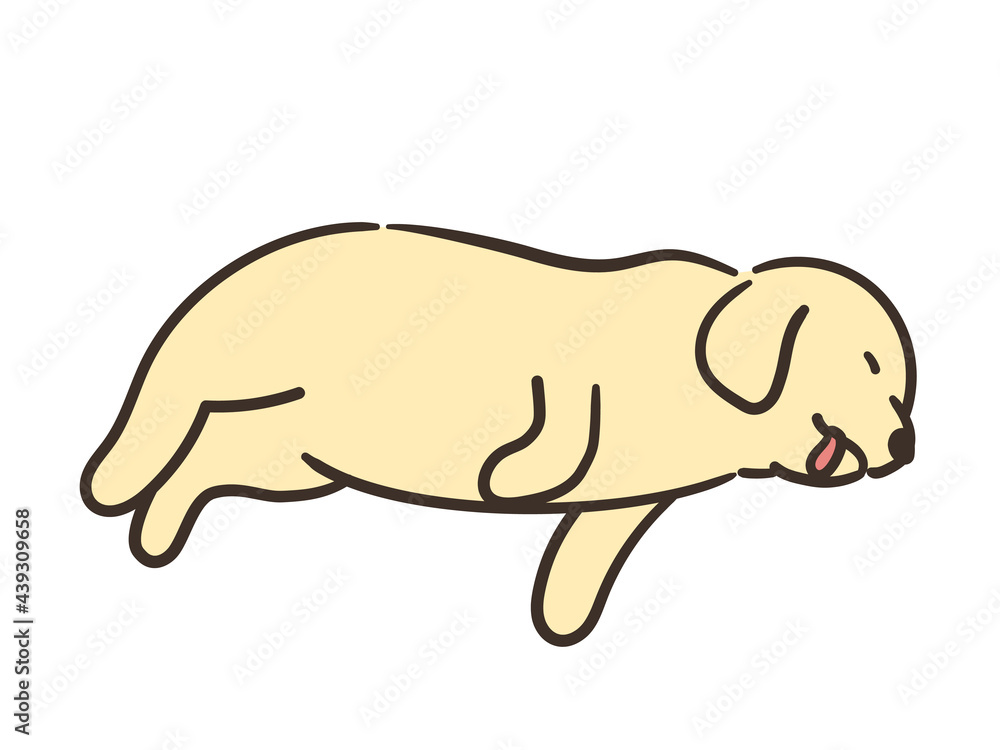 寝ている犬 大型犬 寝ている犬 大型犬