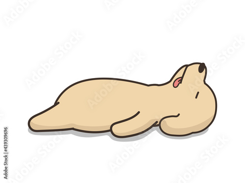 仰向けで寝ている犬