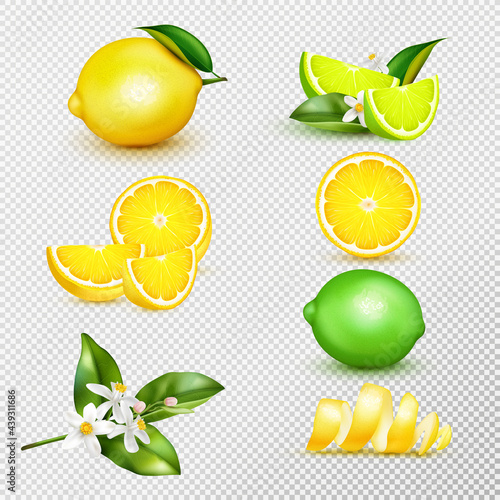 Lemon Lime Realistic Set Transparent