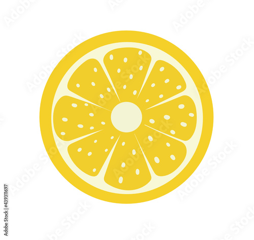 slice of lemon icon vector