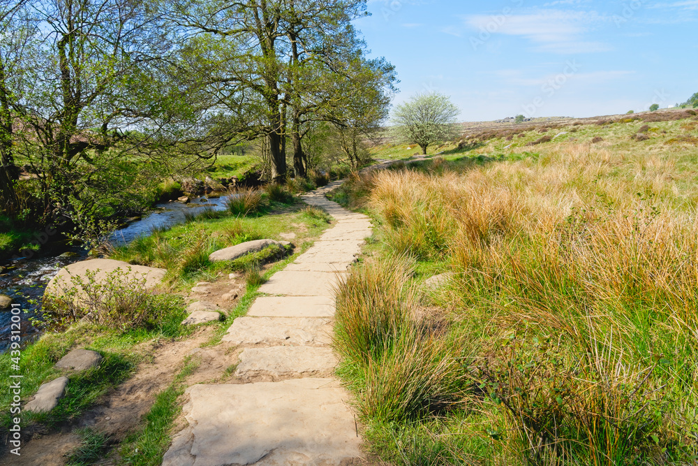 Winding gritstone path at the side of Burbage Brook across moorland in Derbyshire Winding gritstone path at the side of Burbage Brook across moorland in Derbyshire