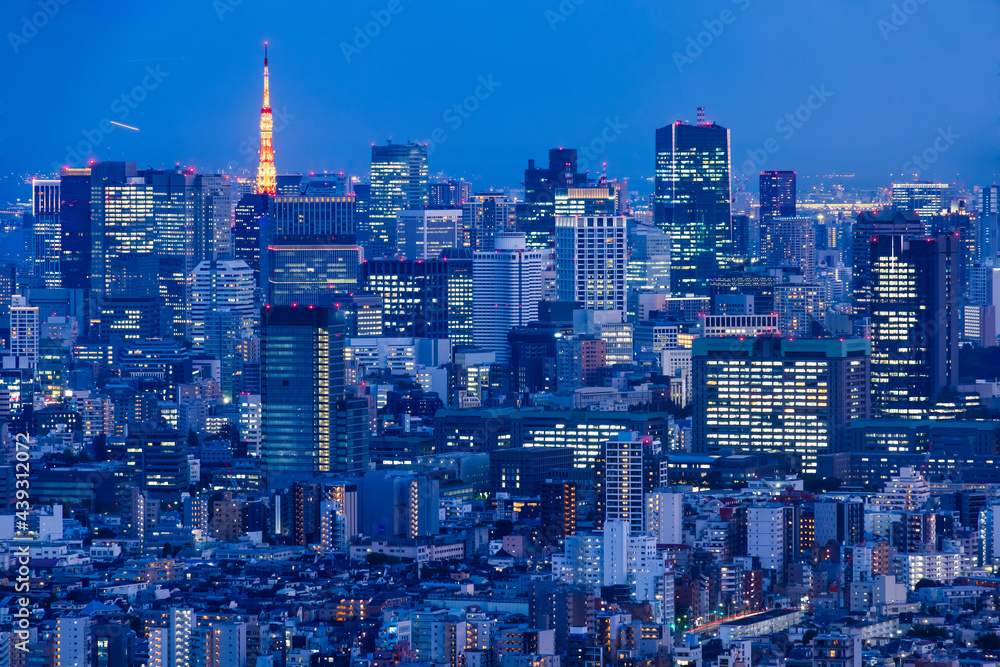 灯りが綺麗な夜の東京の景色