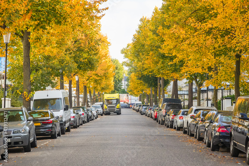 London street lined with parked cars and autumn coloured trees around Kensington in London