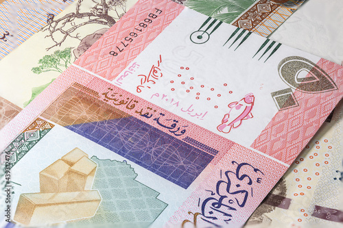 Close up to fifty pounds of the Republic of Sudan. Paper banknotes of the African sudanese country. Detailed capture of the front art design. Detailed money background wallpaper. Currency bank note photo