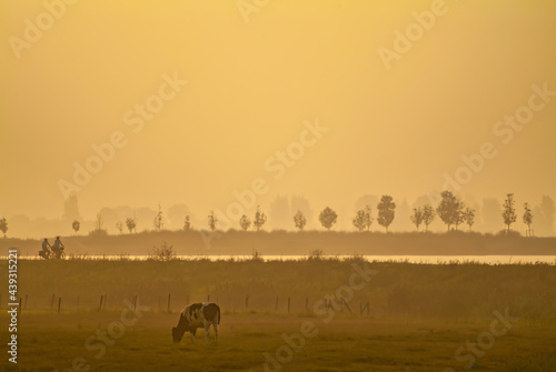 Sunset view of a Dutch polder with silhouettes of cyclists and cow © Martin Bergsma