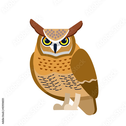 Owl is a bird of prey, mainly nocturnal birds. Eagle horned owl Cartoon flat style beautiful character of ornithology, vector illustration isolated on white background