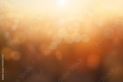 Obraz na płótnie An autumn blurred abstract nature background image of a golden yellow and brown autumn landscape at sunset. w salonie