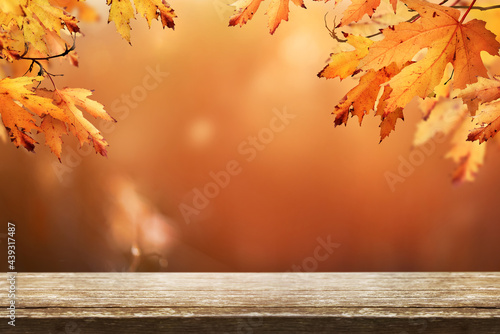 Obraz na płótnie A wood table product display with copyspace and a golden brown autumn background of leaves for Thanksgiving and other seasonal messages. w salonie
