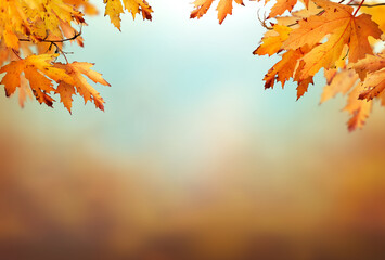An autumn nature, fall background of blurred foliage and tree leaves with blue sky in an autumn landscape that could be used for Thanksgiving.