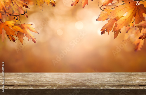 Obraz na płótnie A wood table product display with copyspace and a golden brown autumn background of leaves for Thanksgiving and other seasonal messages. w salonie