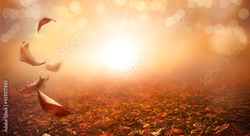 Leaves falling to the ground in an autumn nature, fall background of blurred foliage and scattered leaves on the forest floor at sunset in an autumn landscape.
