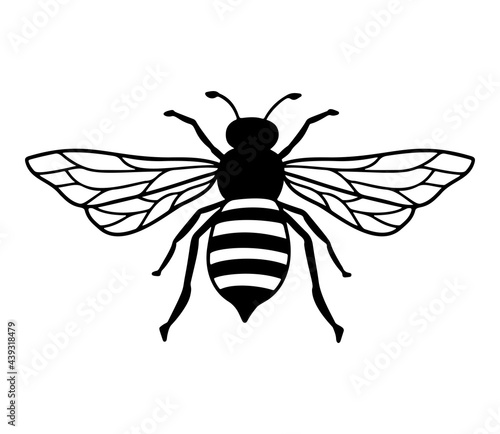 Vector Bee line icon illustration. Graphic logo of insect, simple doodle emblem. Hand drawn honeybee isolated on white background. Queen symbol outline design.