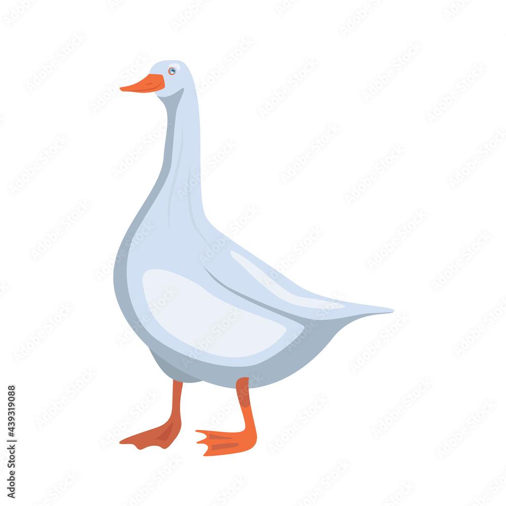 Fototapeta premium Cute goose isolated on white transparent background.