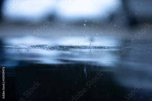 rain drops on the water